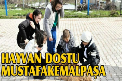 Hayvan dostu Mustafakemalpaşa