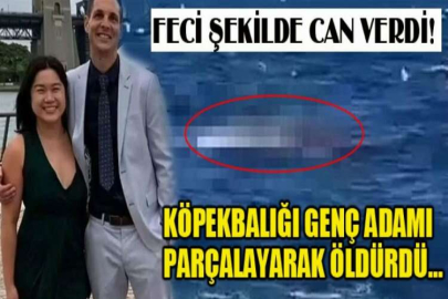 Korkunç olay! Köpekbalığı genç adamı parçalayarak öldürdü…