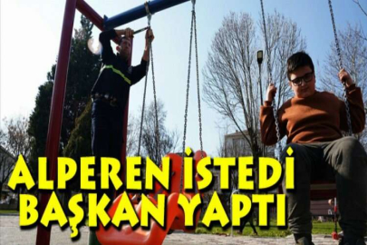 Alperen istedi başkan yaptı