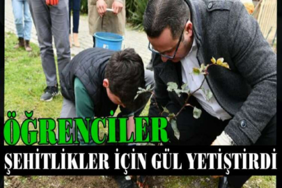 Mustafakemalpaşa'daki şehitlikler gül bahçelerine dönüşecek