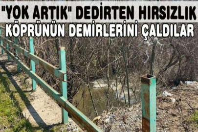 "Yok artık" dedirten hırsızlık
