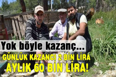 Yok böyle kazanç... Günlük kazancı 2 bin lira, aylık 60 bin lira!