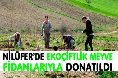 Nilüfer’de ekoçiftlik meyve fidanlarıyla donatıldı
