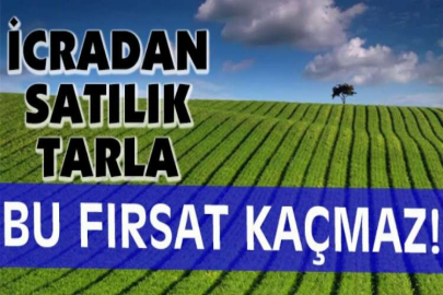 Ankara Gölbaşı'nda 6.160 m² tarla icradan satılıktır