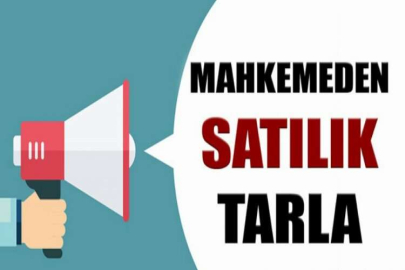 Edirne Enez'de 19.900 m² tarla mahkemeden satılıktır ( çoklu satış )
