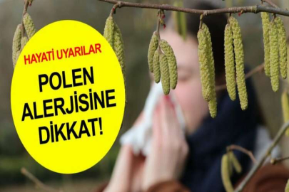 Polen alerjisine dikkat