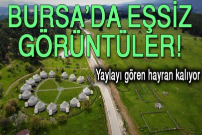 Bahar geldi, o yayla muhteşem görüntüye kavuştu