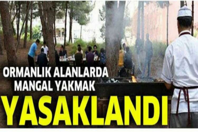 Bursa'da ormanlık alanlarda mangal yakmak yasaklandı