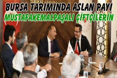 Bursa tarımında aslan payı Mustafakemalpaşalı çiftçilerin