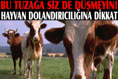 Hayvan dolandırıcılığına dikkat