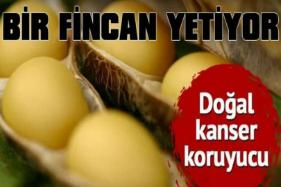 Kanser savaşçısı besinler ve asla ağzınıza sürmemeniz gereken besinler