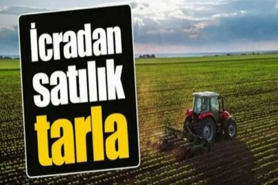 Edirne Enez'de 5.000 m² tarla mahkemeden satılıktır ( çoklu satış )