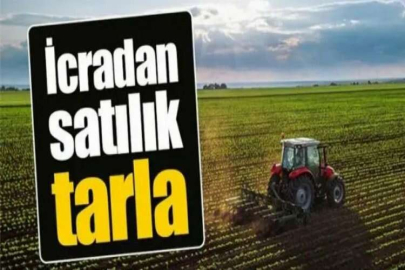 Sivas Hafik'te 35.444,39 m² tarla mahkemeden satılıktır (çoklu satış)