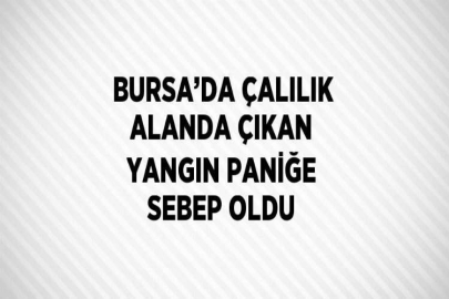 BURSA’DA ÇALILIK ALANDA ÇIKAN YANGIN PANİĞE SEBEP OLDU