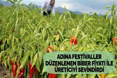 ADINA FESTİVALLER DÜZENLENEN BİBER FİYATI İLE ÜRETİCİYİ SEVİNDİRDİ