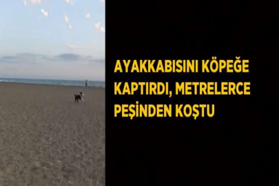 AYAKKABISINI KÖPEĞE KAPTIRDI, METRELERCE PEŞİNDEN KOŞTU