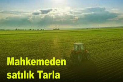 Kırklareli Lüleburgaz'da 17.800 m² tarla mahkemeden satılıktır