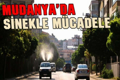 Mudanya’da sinekle mücadele