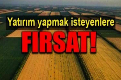 Edirne Enez'de 20.000 m² tarla icradan satılıktır