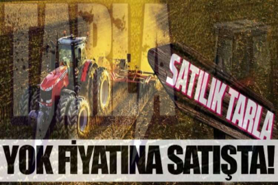 Sivas Hafik'te 8.734 m² tarla mahkemeden satılıktır (çoklu satış)