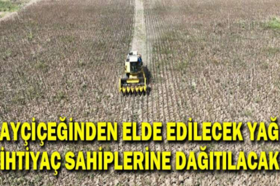 Ayçiçeğinden elde edilecek yağ ihtiyaç sahiplerine dağıtılacak