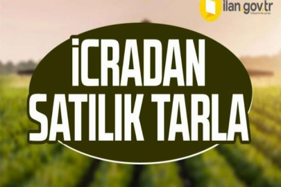 Kayseri Sarız'da 33 dönüm tarla icradan satılıktır