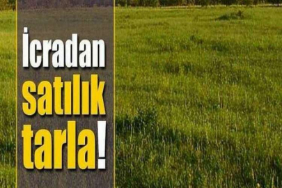 Kahramanmaraş Türkoğlu'nda 10704 m² tarla icradan satılık