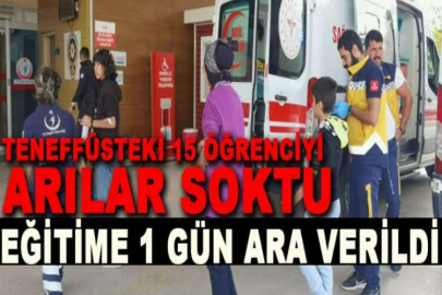 Teneffüsteki 15 öğrenciyi arılar soktu, okula 1 gün ara verildi