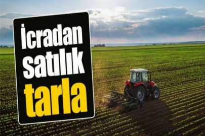 Kocaeli Karamürsel'de 1487 m² tarla mahkemeden satılıktır