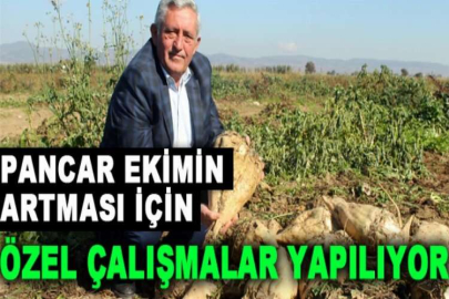 Şeker pancarında kalite seferberliği