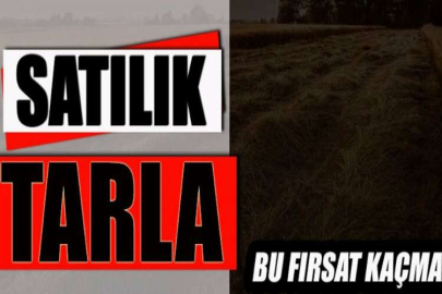 Kırklareli Lüleburgaz'da 12.800 m² tarla mahkemeden satılıktır (çoklu satış)