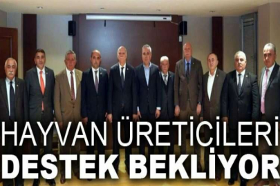 Hayvan üreticileri destek bekliyor