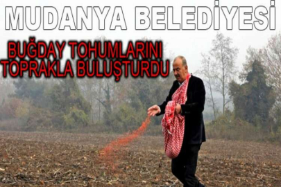 Mudanya Belediyesi buğday tohumlarını toprakla buluşturdu