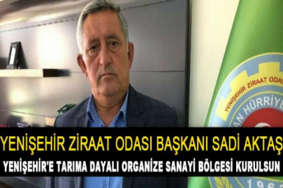 Yenişehir'e tarıma dayalı organize sanayi bölgesi kurulsun