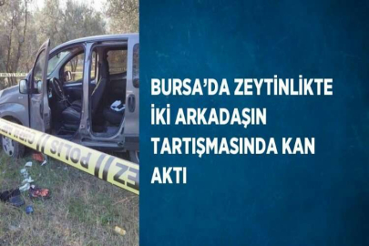 BURSA’DA ZEYTİNLİKTE İKİ ARKADAŞIN TARTIŞMASINDA KAN AKTI