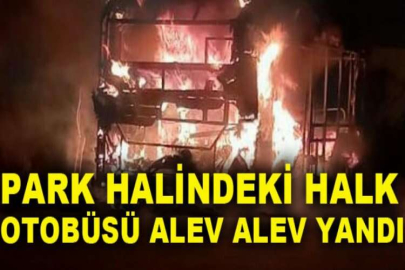 Park halindeki halk otobüsü alev alev yandı