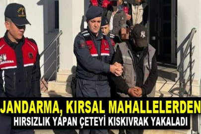 Jandarma, kırsal mahallelerden hırsızlık yapan çeteyi kıskıvrak yakaladı
