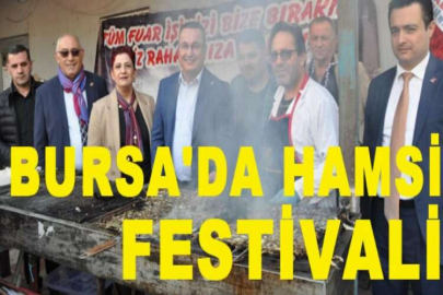 Bursa'da Hamsi Festivali