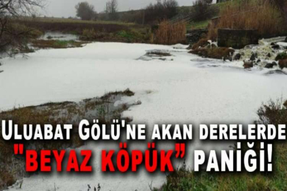 Uluabat Gölü'ne akan derelerde "beyaz köpük” paniği