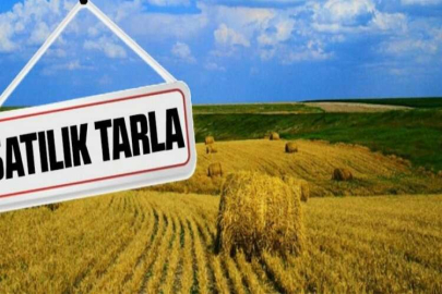 İzmir Foça'da 2.221 m² tarla mahkemeden satılıktır