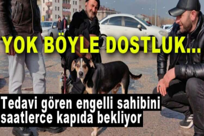 Yok böyle dostluk...Tedavi gören engelli sahibini saatlerce kapıda bekliyor