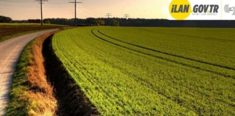 Sivas Merkez'de 15.306,80 m² arsa mahkemeden satılıktır