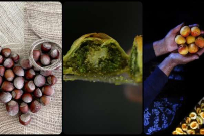 Türkiye'nin coğrafi ürünleri AB'de tescil sırasına girdi