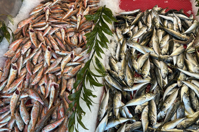 Tezgahlardaki balık çeşitliliği bitiyor mu ?