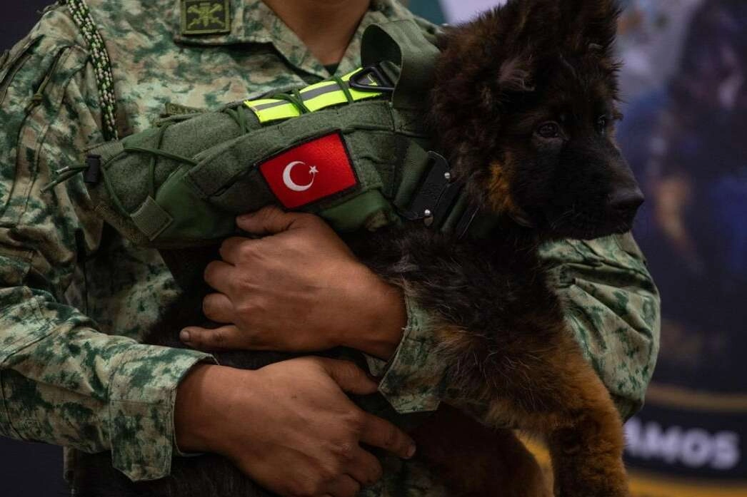 Türkiye'den Meksika'ya hediye