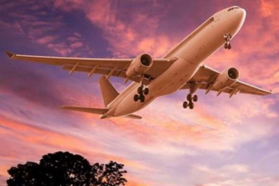 Uçakta yolcuyu akrep soktu