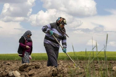Dünya çiftçiler günü nedir? Ne zaman kutlanır?