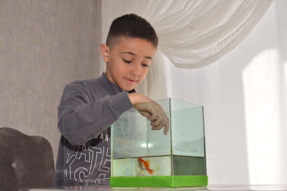 Depremden 100 gün sonra fanusta hayatta kalan balık şaşırttı