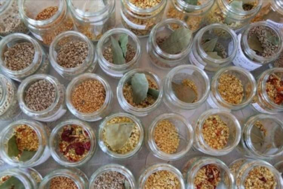 40 çeşit ata tohumu toplandı