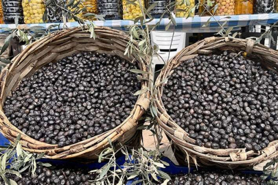 Bursa Gemlik zeytini tescilli Avrupalı